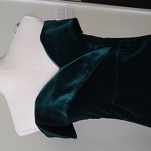 Green Velvet dress